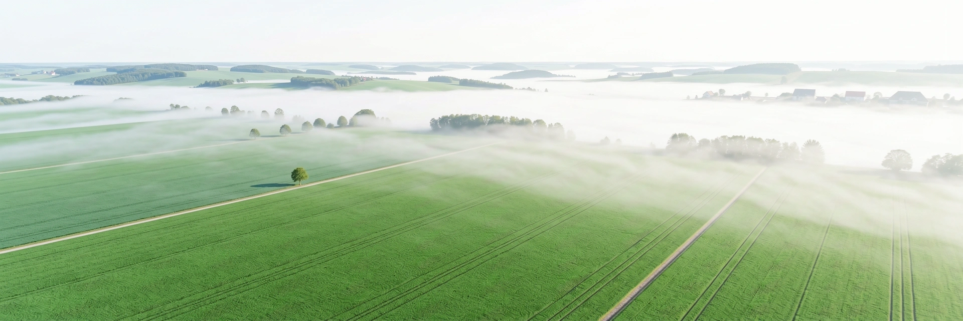 Natürliche Umgebung Stuttgart